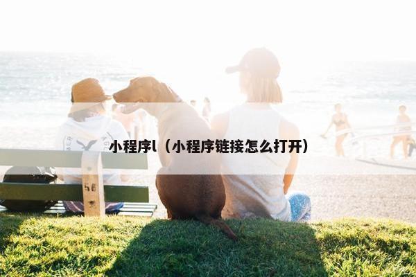 小程序l(小程序链接怎么打开)
