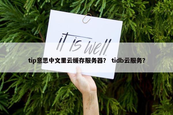 tip意思中文里云缓存服务器？ tidb云服务？