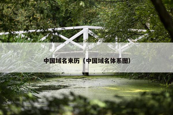 中国域名来历(中国域名体系图)