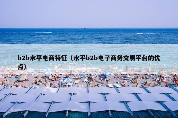 b2b水平电商特征(水平b2b电子商务交易平台的优点)