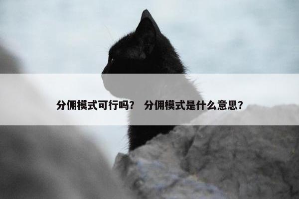分佣模式可行吗? 分佣模式是什么意思?