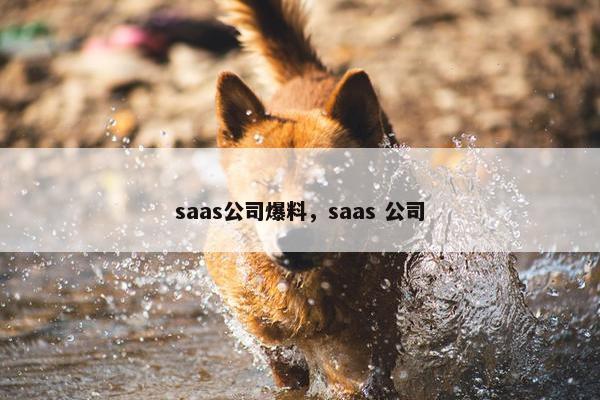 saas公司爆料，saas 公司