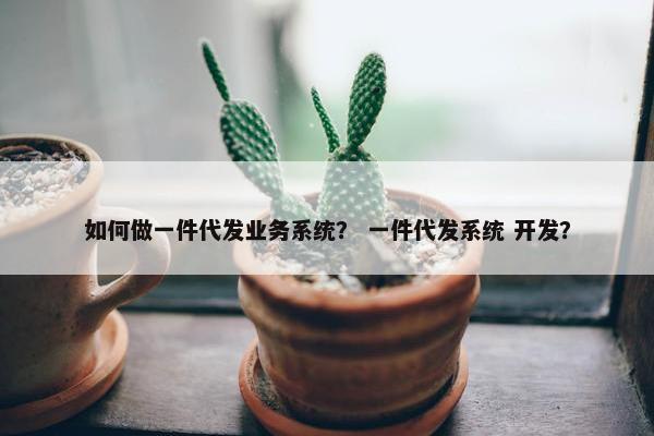 如何做一件代发业务系统？ 一件代发系统 开发？