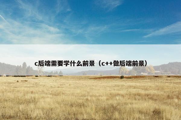 c后端需要学什么前景（c++做后端前景）