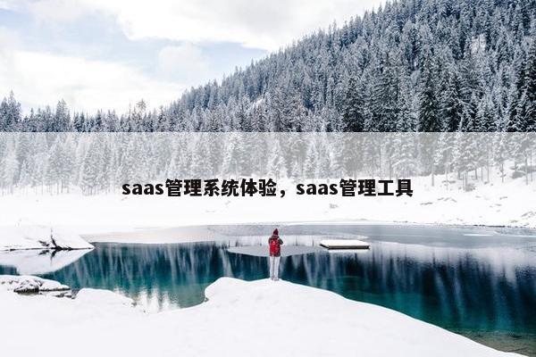 saas管理系统体验,saas管理工具