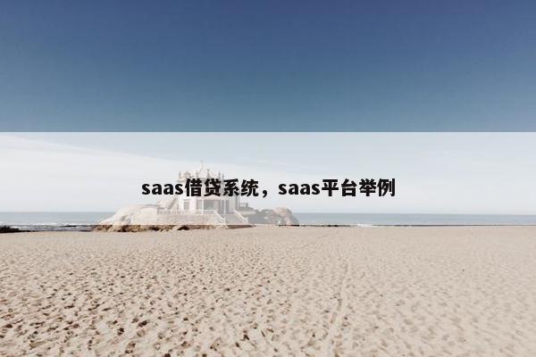 saas借贷系统，saas平台举例