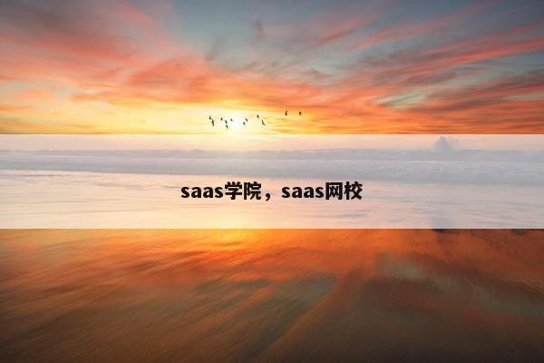 saas学院，saas网校