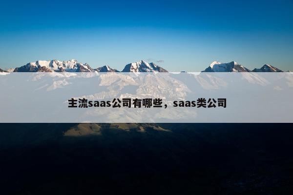 主流saas公司有哪些,saas类公司