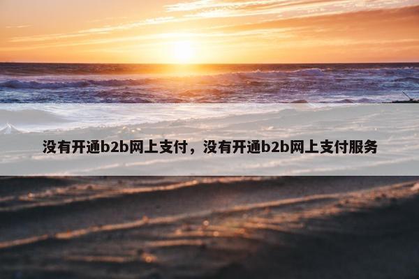 没有开通b2b网上支付,没有开通b2b网上支付服务