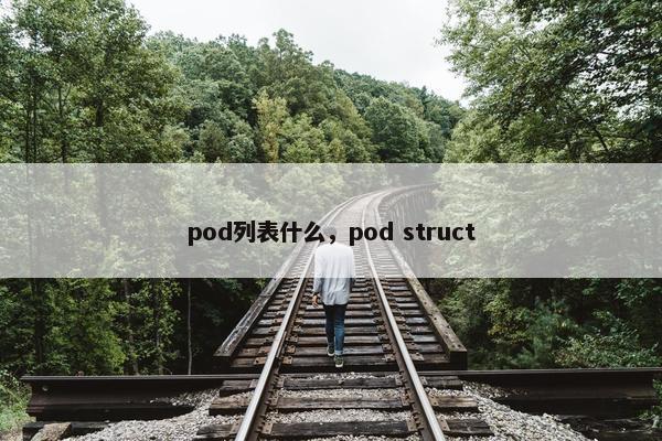 pod列表什么,pod struct pod列表什么,pod struct