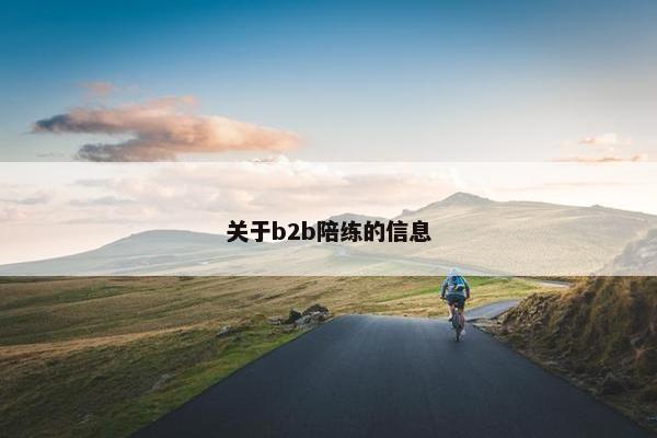关于b2b陪练的信息