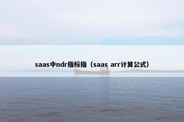 saas中ndr指标指（saas arr计算公式）