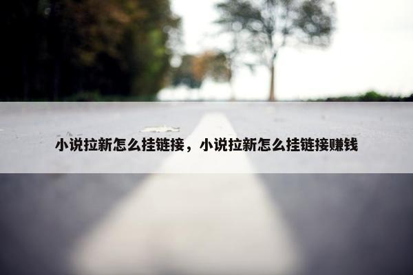 小说拉新怎么挂链接，小说拉新怎么挂链接赚钱