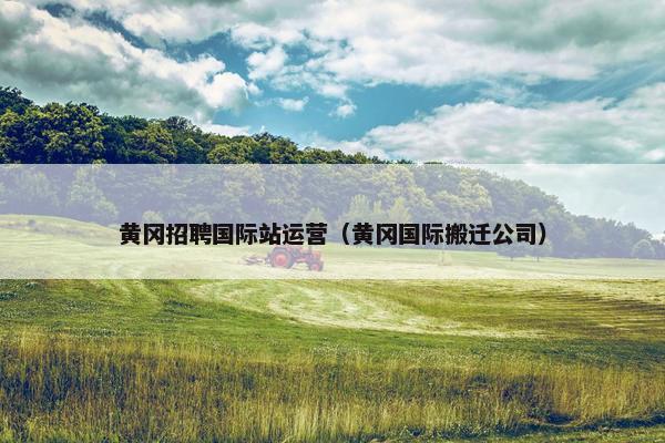 黄冈招聘国际站运营（黄冈国际搬迁公司）