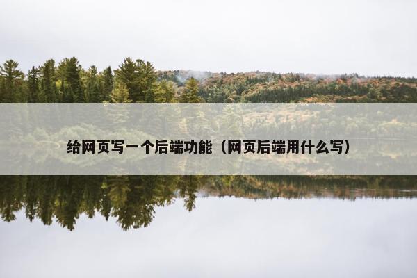 给网页写一个后端功能（网页后端用什么写）