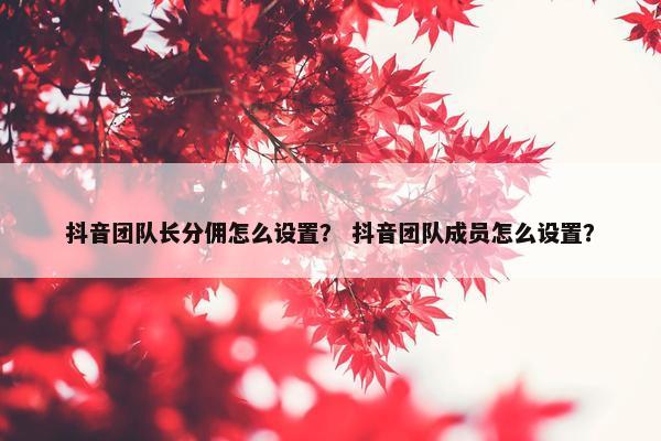 抖音团队长分佣怎么设置？ 抖音团队成员怎么设置？