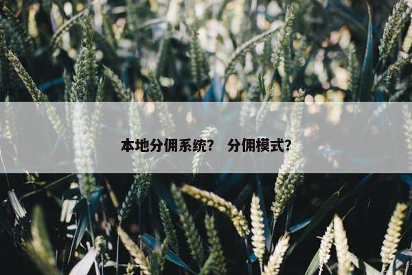 本地分佣系统？ 分佣模式？