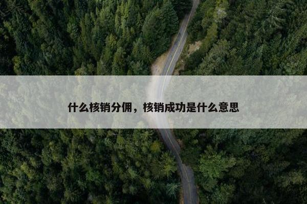什么核销分佣，核销成功是什么意思