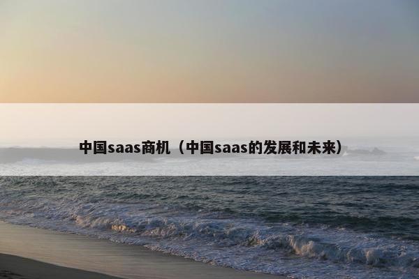 中国saas商机（中国saas的发展和未来）