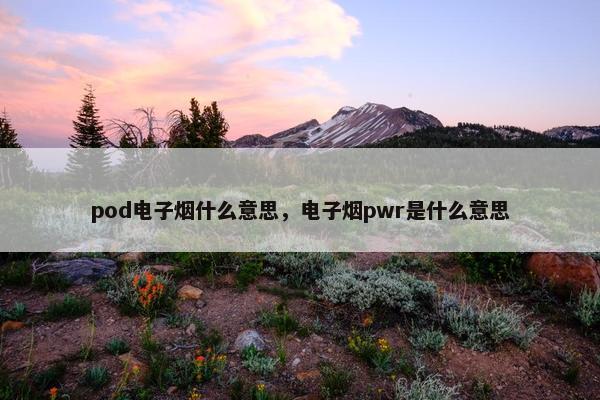 pod电子烟什么意思，电子烟pwr是什么意思