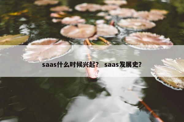 saas什么时候兴起？ saas发展史？
