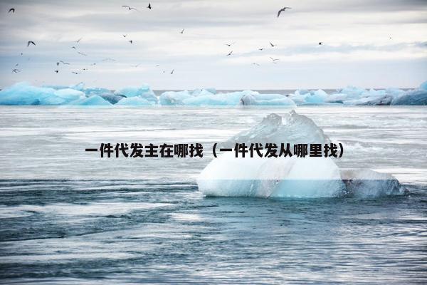 一件代发主在哪找（一件代发从哪里找）