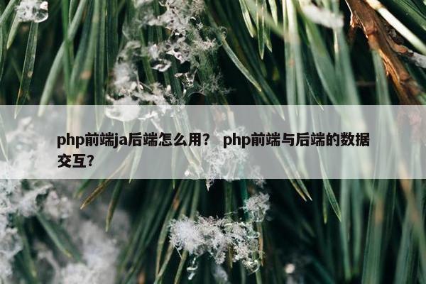 php前端ja后端怎么用？ php前端与后端的数据交互？