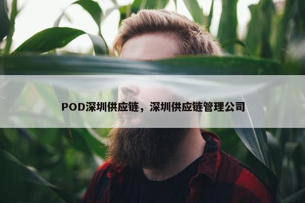POD深圳供应链，深圳供应链管理公司