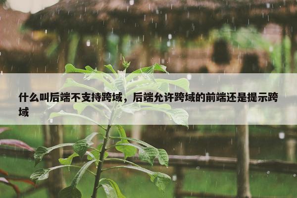 什么叫后端不支持跨域，后端允许跨域的前端还是提示跨域