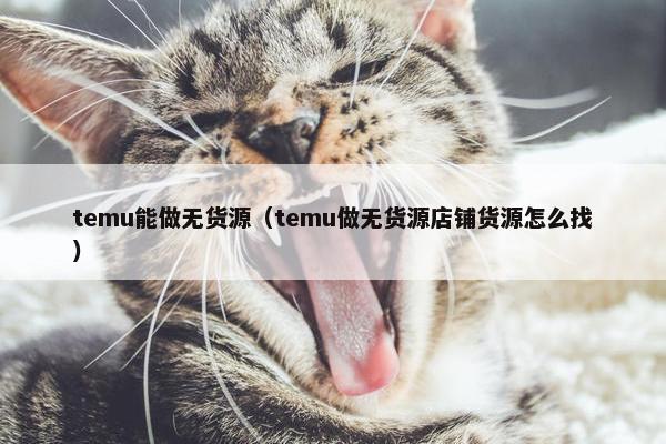 temu能做无货源（temu做无货源店铺货源怎么找）