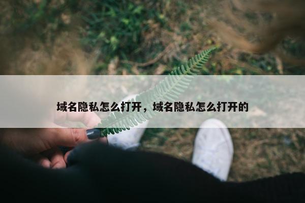 域名隐私怎么打开，域名隐私怎么打开的
