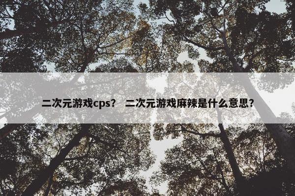 二次元游戏cps？ 二次元游戏麻辣是什么意思？