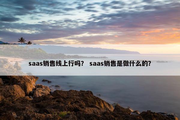 saas销售线上行吗？ saas销售是做什么的？