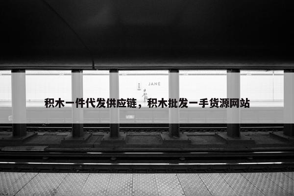 积木一件代发供应链，积木批发一手货源网站