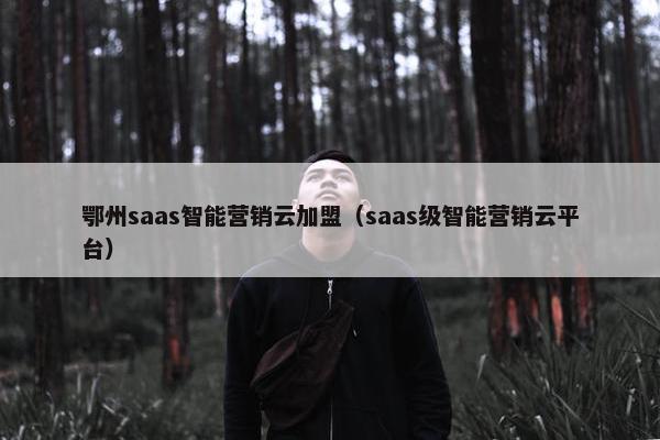 鄂州saas智能营销云加盟（saas级智能营销云平台）