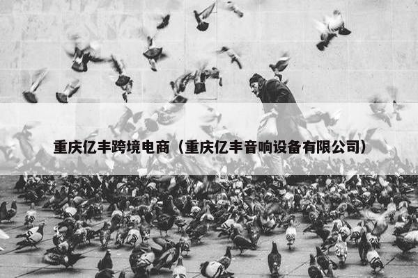 重庆亿丰跨境电商（重庆亿丰音响设备有限公司）