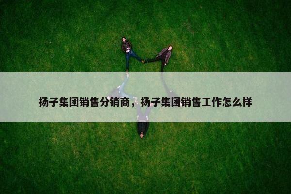 扬子集团销售分销商,扬子集团销售工作怎么样