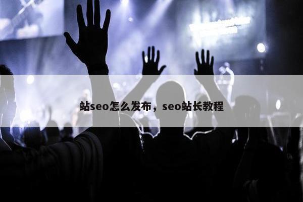 站seo怎么发布，seo站长教程