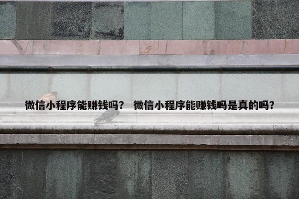 微信小程序能赚钱吗？ 微信小程序能赚钱吗是真的吗？