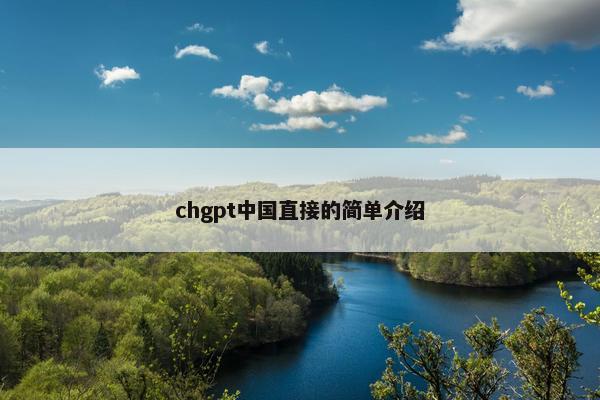 chgpt中国直接的简单介绍