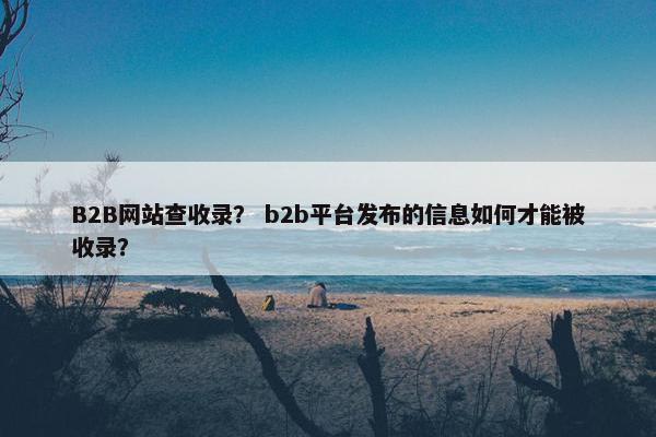 B2B网站查收录？ b2b平台发布的信息如何才能被收录？
