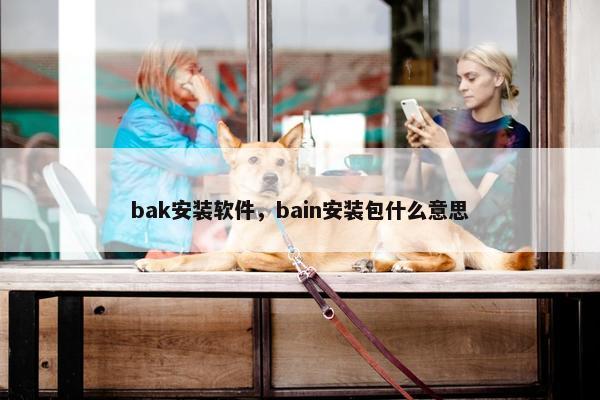 bak安装软件，bain安装包什么意思