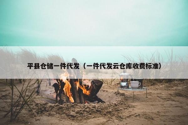 平县仓储一件代发（一件代发云仓库收费标准）