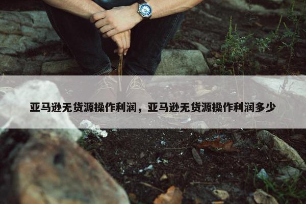 亚马逊无货源操作利润，亚马逊无货源操作利润多少