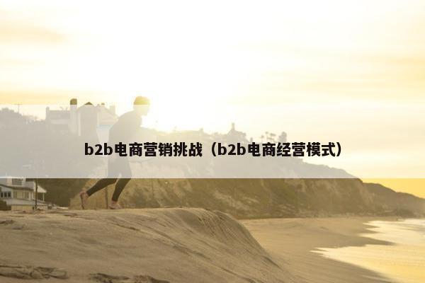 b2b电商营销挑战（b2b电商经营模式）
