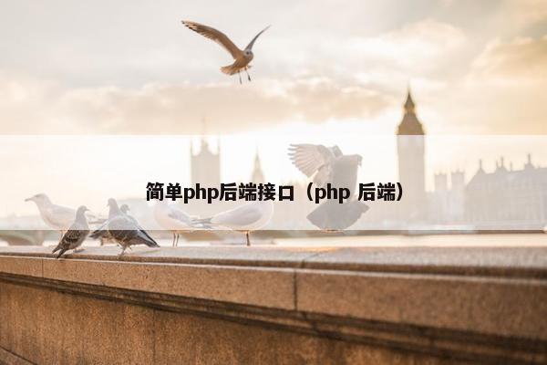 简单php后端接口（php 后端）