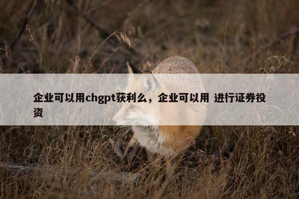 企业可以用chgpt获利么，企业可以用 进行证券投资
