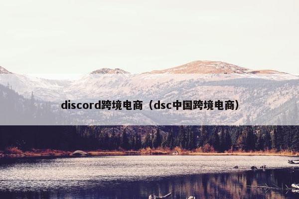 discord跨境电商（dsc中国跨境电商）