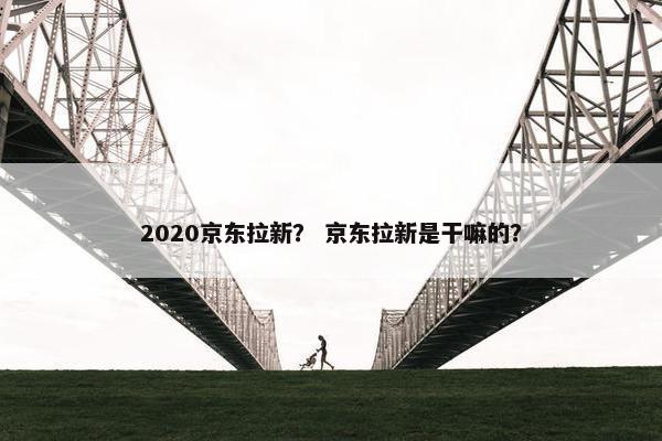 2020京东拉新？ 京东拉新是干嘛的？