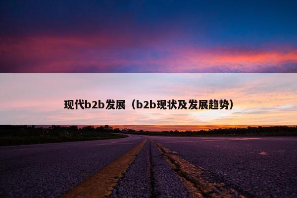 现代b2b发展（b2b现状及发展趋势）